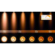 Спот Lucide Tala Led 31931/36/30