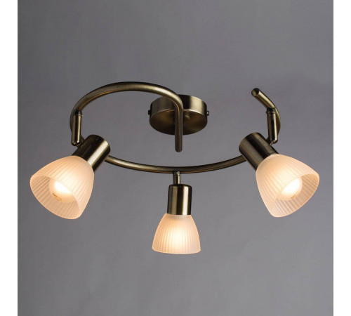 Спот Arte Lamp Parry A5062PL-3AB Спот Arte Lamp Parry A5062PL-3AB