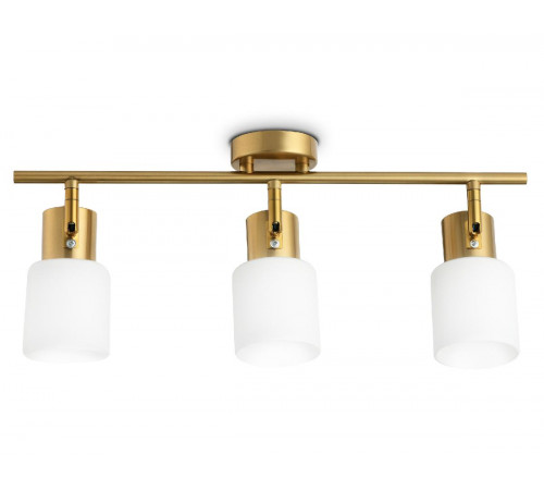 Спот Ambrella Light Traditional TR3972