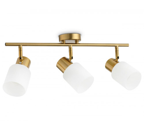 Спот Ambrella Light Traditional TR3972