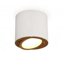 Накладной поворотный светильник Ambrella Light Techno XS7401004 (C7401, N7004)