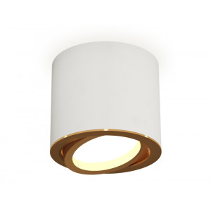 Накладной поворотный светильник Ambrella Light Techno XS7401004 (C7401, N7004)