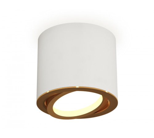 Накладной поворотный светильник Ambrella Light Techno XS7401004 (C7401, N7004) Накладной поворотный светильник Ambrella Light Techno XS7401004 (C7401, N7004)