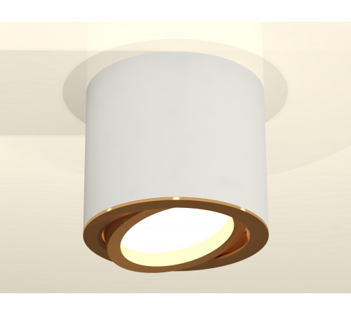 Накладной поворотный светильник Ambrella Light Techno XS7401004 (C7401, N7004) Накладной поворотный светильник Ambrella Light Techno XS7401004 (C7401, N7004)