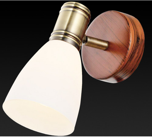 Спот Toplight Sharyl TL3720Y-01BB Спот Toplight Sharyl TL3720Y-01BB