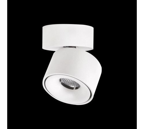 Спот Citilux CL558010N Спот Citilux CL558010N