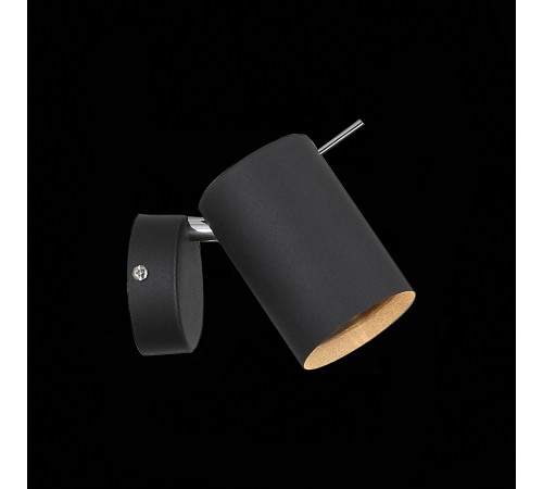 Светодиодный спот ST Luce Fanale SL597.401.01 Светодиодный спот ST Luce Fanale SL597.401.01