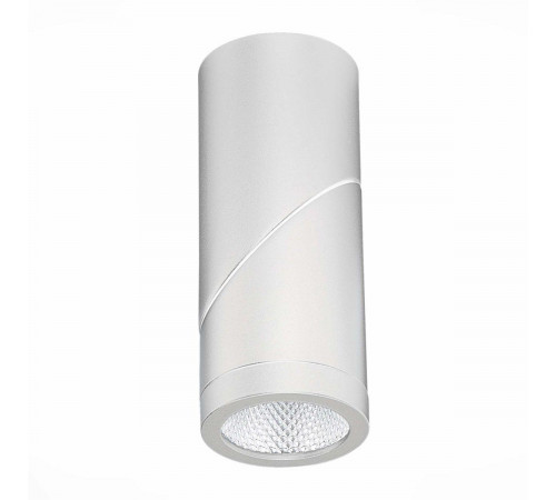 Светодиодный спот ST Luce ST650.532.10 Светодиодный спот ST Luce ST650.532.10