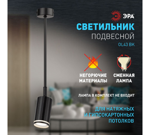 Спот Эра OL43 BK Б0058490 Спот Эра OL43 BK Б0058490