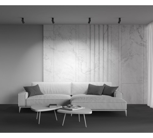 Светодиодный спот Maytoni Dafne C027CL-L10B