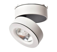 Светодиодный спот Arte Lamp A2511PL-1WH