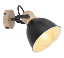 Спот Globo Wiho 54018-1S