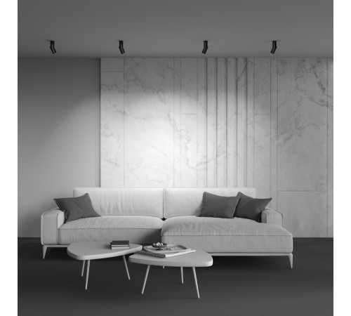 Светодиодный спот Maytoni Dafne C027CL-L10B