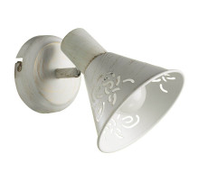 Спот Arte Lamp Cono A5218AP-1WG