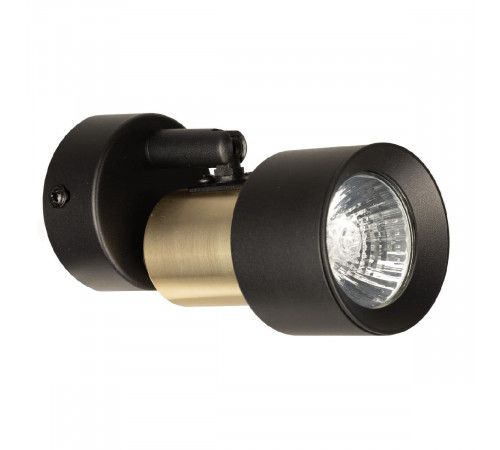 Спот Citilux Sat CL505611