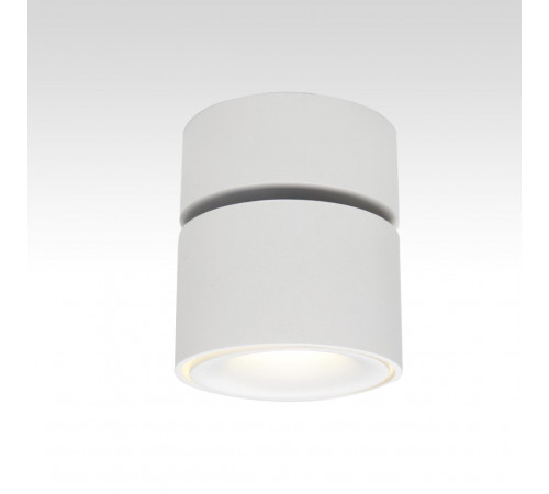 Спот Citilux CL558010N Спот Citilux CL558010N