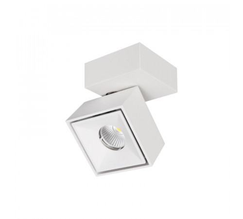 Спот Citilux CL558020N Спот Citilux CL558020N