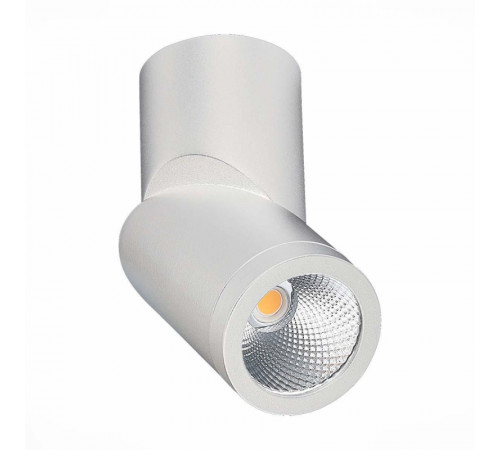 Светодиодный спот ST Luce ST650.532.10 Светодиодный спот ST Luce ST650.532.10