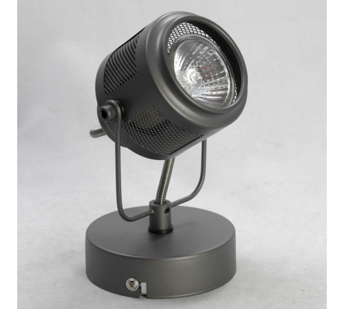 Спот Lussole Loft Haines LSP-8045 Спот Lussole Loft Haines LSP-8045