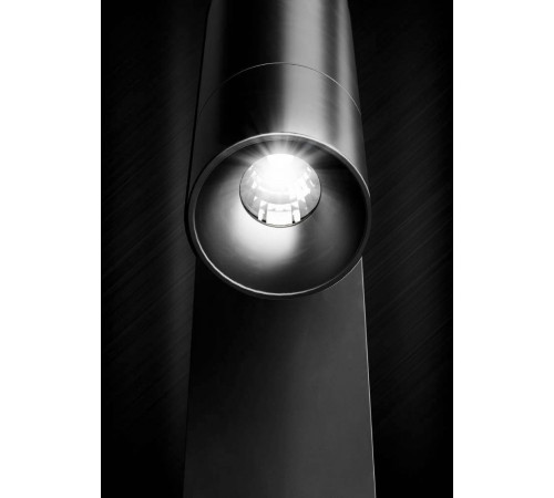 Спот Eglo TP Spotlight 98817