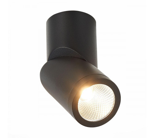 Светодиодный спот ST Luce ST650.432.10 Светодиодный спот ST Luce ST650.432.10