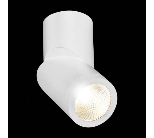Светодиодный спот ST Luce ST650.532.10 Светодиодный спот ST Luce ST650.532.10