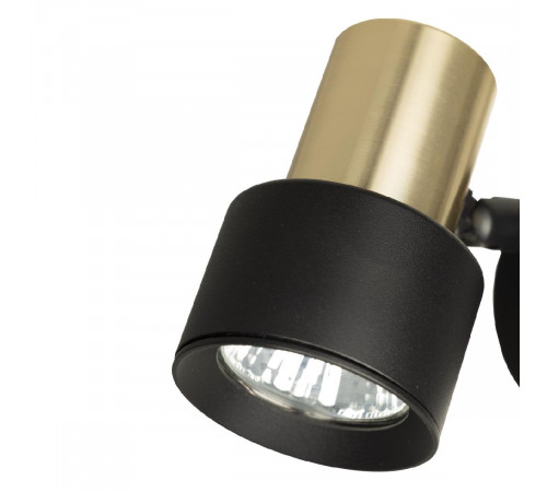 Спот Citilux Sat CL505611
