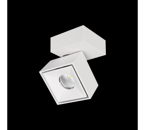 Спот Citilux CL558020N Спот Citilux CL558020N