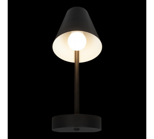 Бра Loft IT Shelf 10216/1W Black Бра Loft IT Shelf 10216/1W Black
