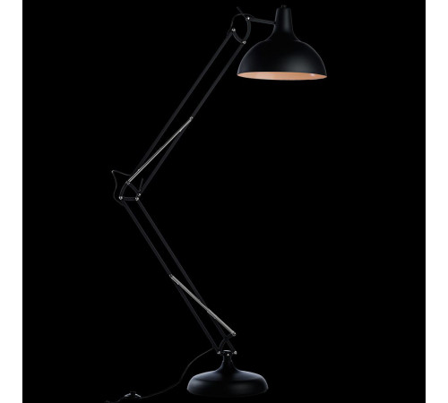 Торшер Arte Lamp Goliath A2487PN-1BK