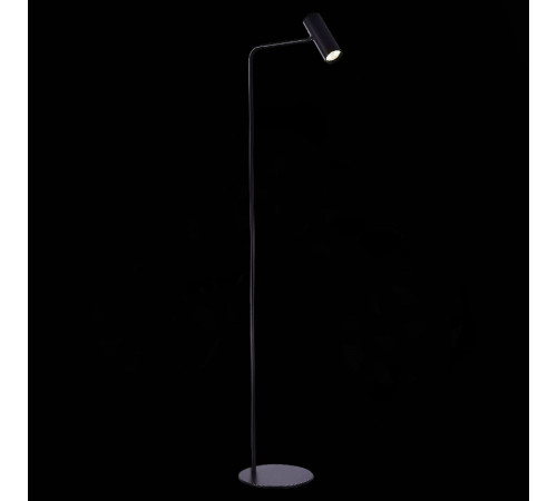 Торшер ST Luce Arper SL1006.405.01