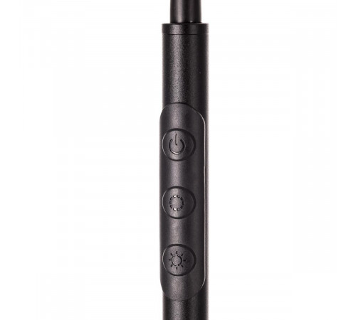 Торшер Citilux Alex CL804051 Торшер Citilux Alex CL804051