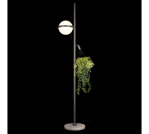 Торшер Loft IT Jardin 10121/F Dark grey Торшер Loft IT Jardin 10121/F Dark grey