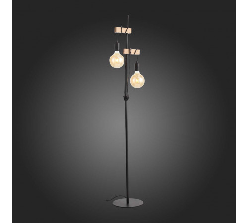 Торшер EVOLUCE BAGETTI SL1142.405.01