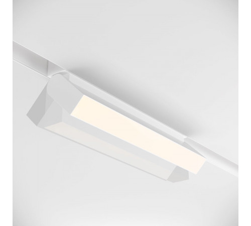 Трековый светильник Maytoni Technical Magnetic track TR013-2-20W4K-W