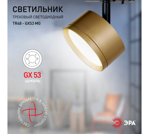 Трековый светильник Эра TR48 - GX53 MG Б0054160