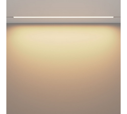 Трековый магнитный светильник Maytoni Basis TR030-4-30W3K-WW-DS-W
