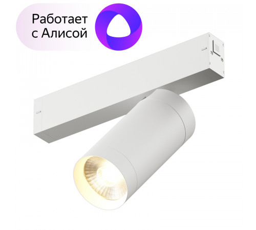 Трековый светильник Denkirs DK8020-WH Трековый светильник Denkirs DK8020-WH