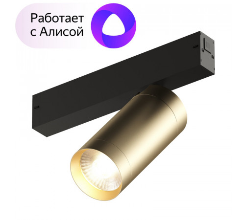 Трековый светильник Denkirs Smart Spot DK8020-BG