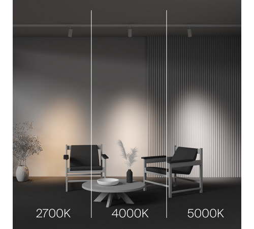 Трековый трехфазный светильник Maytoni Focus Led TR197-3-20WCCT-M-W