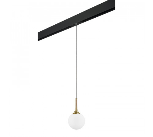 Трековый светильник Lightstar Globo PRO813013 (813013+595007) Трековый светильник Lightstar Globo PRO813013 (813013+595007)