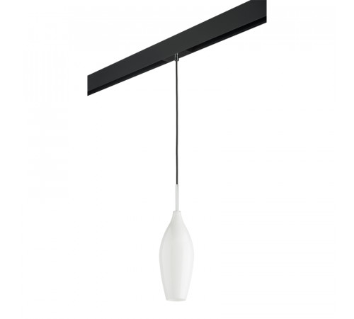 Трековый светильник Lightstar Pentola PRO803020 (803020+595007) Трековый светильник Lightstar Pentola PRO803020 (803020+595007)