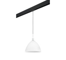 Трековый светильник Lightstar Agola PRO810030 (810030+595007)
