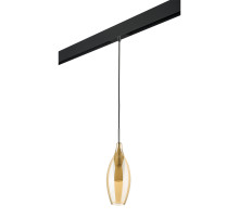 Трековый светильник Lightstar Pentola PRO803023 (803023+595007)