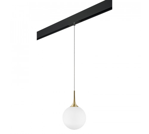 Трековый светильник Lightstar Globo PRO813032 (813032+595007) Трековый светильник Lightstar Globo PRO813032 (813032+595007)