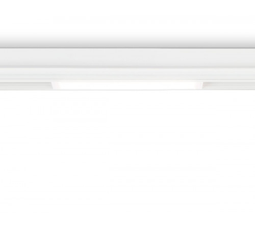 Трековый магнитный светильник Ambrella Light Magnetic 220V GL1261 Трековый магнитный светильник Ambrella Light Magnetic 220V GL1261