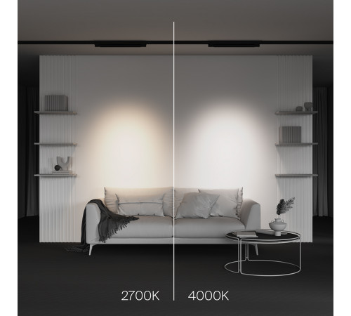 Трековый трехфазный светильник Maytoni Points TR195-3-20W4K-M-B Трековый трехфазный светильник Maytoni Points TR195-3-20W4K-M-B