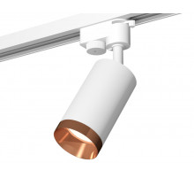 Трековый однофазный светильник Ambrella Light Track System XT6322065 (A2520, C6322, N6135)