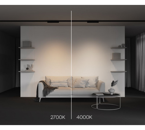 Трековый трехфазный светильник Maytoni Basis TR196-3-10W2.7K-B Трековый трехфазный светильник Maytoni Basis TR196-3-10W2.7K-B