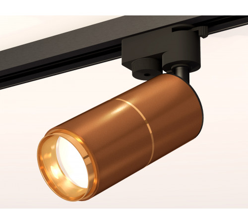 Трековый однофазный светильник Ambrella Light Track System XT6304010 (A2521, C6304, A2062, C6304, N6124) Трековый однофазный светильник Ambrella Light Track System XT6304010 (A2521, C6304, A2062, C6304, N6124)